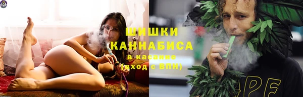 шишки Алексеевка
