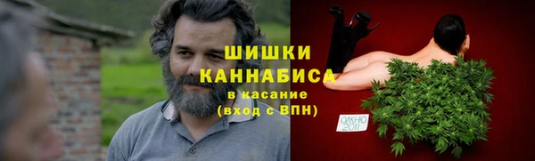 шишки Алексеевка