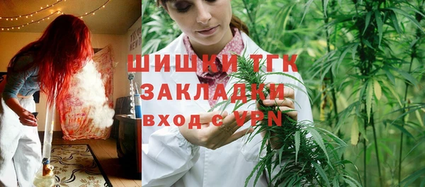 шишки Алексеевка