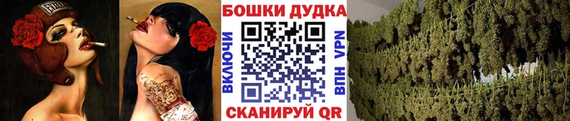 наркотики  Новошахтинск  Каннабис Ganja 